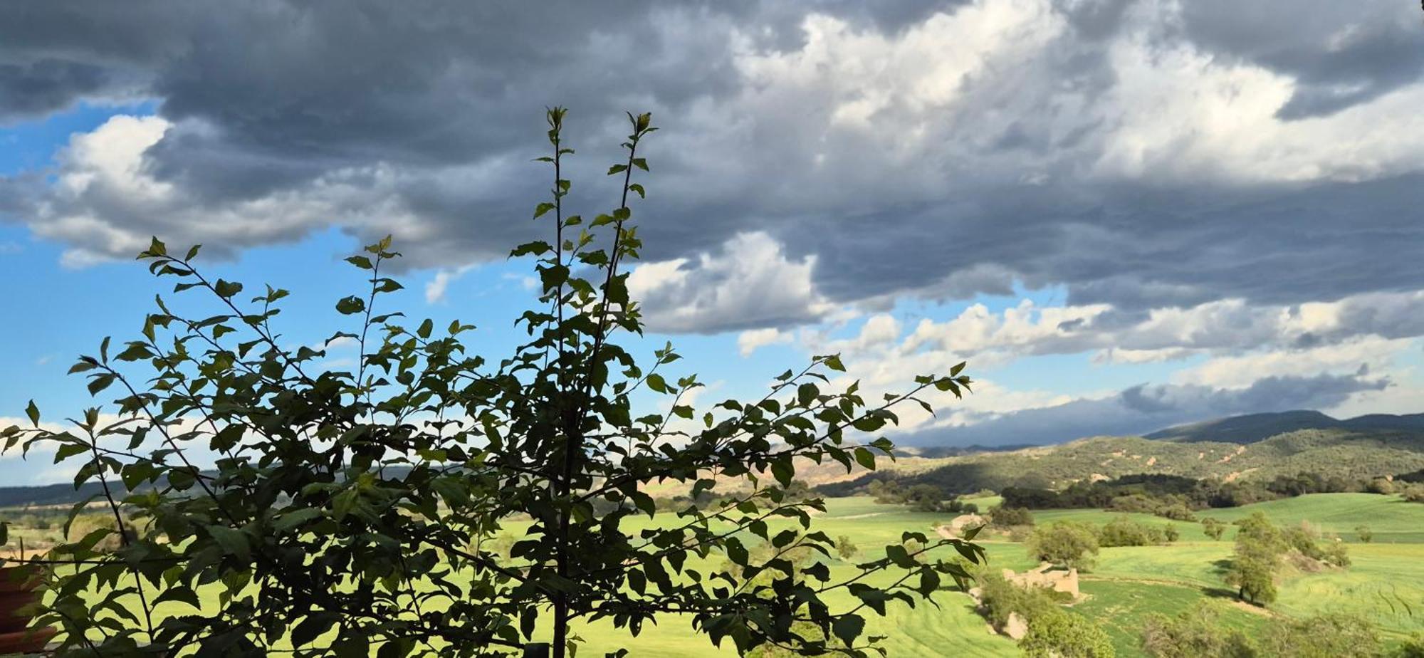Can Gasol Turisme Rural Guialmons Esterno foto