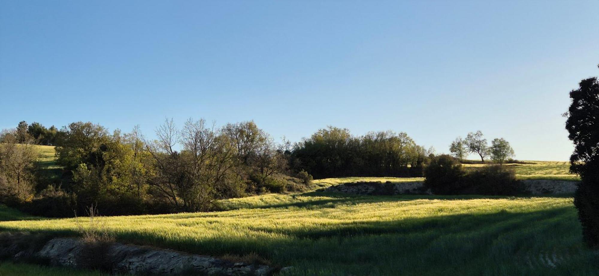 Can Gasol Turisme Rural Guialmons Esterno foto